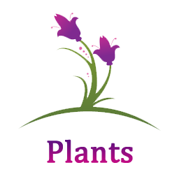 Jardin Lumière Promos Magasin